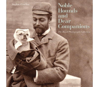 Noble Hounds and Dear Companions