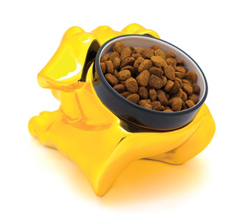 Dog Bowl from 40 Winks Designs