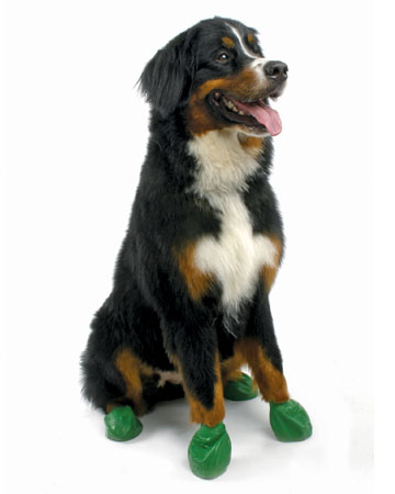 Dog boots from Pawz