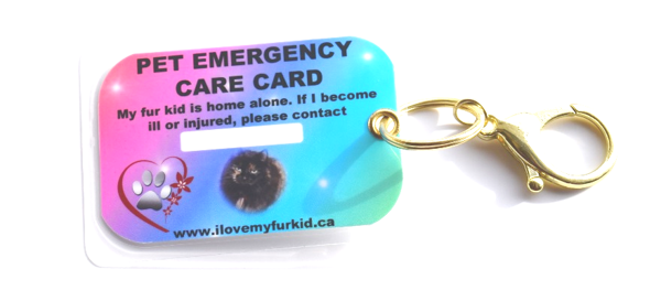 Pet emergency care card keychain for pets home alone